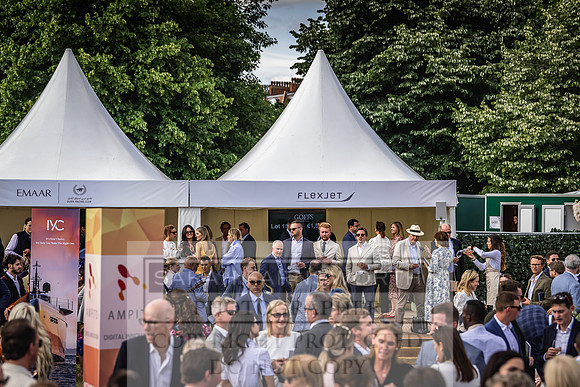 Goffs London Sale 2022-415