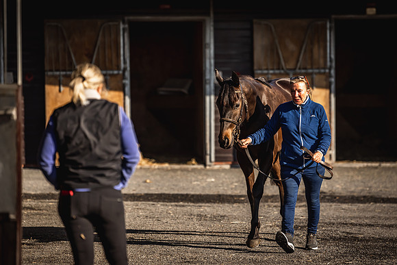 Goffs UK Breeze Up 2022-21