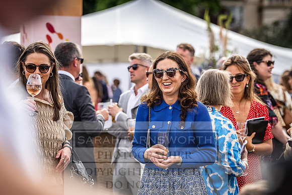 Goffs London Sale 2022-392