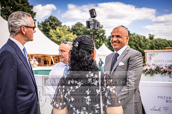 Goffs London Sale 2022-186