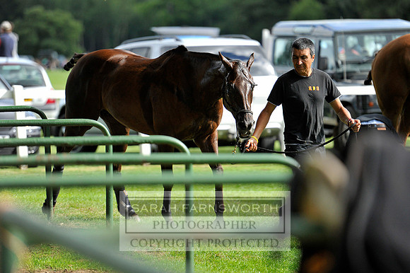 Cirencester Polo CF3 1256