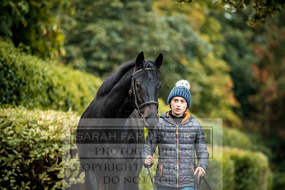 Goffs Orby 2017-560