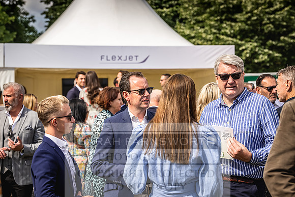 Goffs London Sale 2022-330