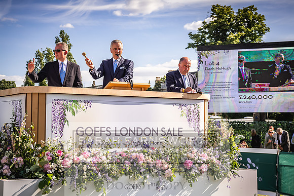 Goffs London Sale 2022-486