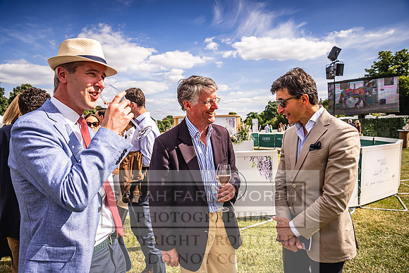 Goffs London Sale 2022-339