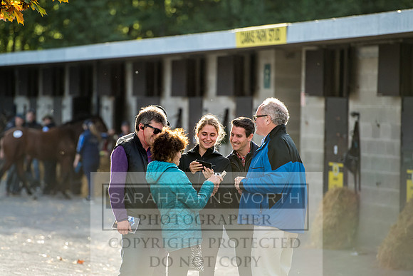 Goffs Orby 2017-331
