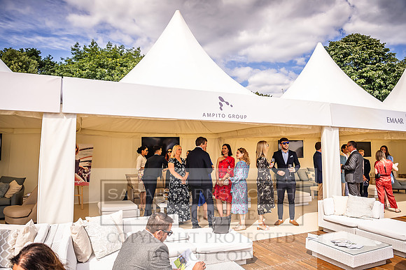 Goffs London Sale 2022-217