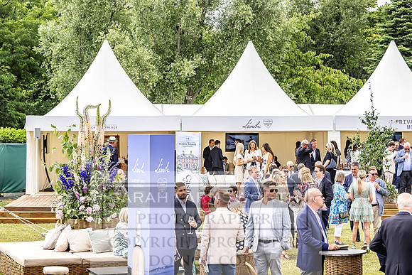 Goffs London Sale 2022-297