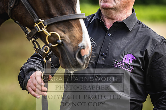 Goffs London Sale 2022-101