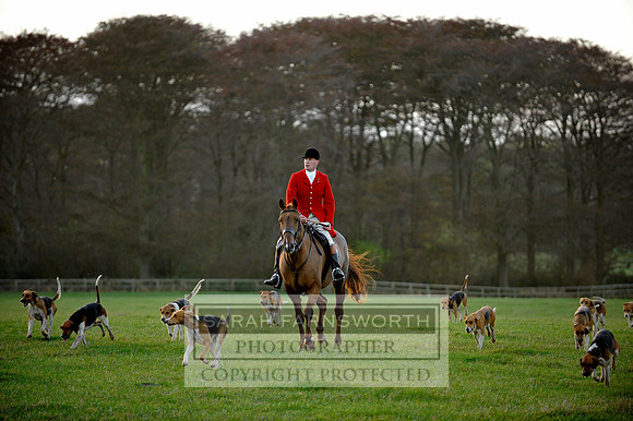 Brocklesby 021113 CF3 1489