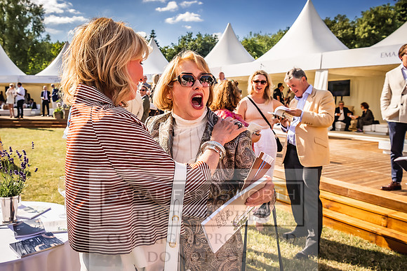 Goffs London Sale 2022-530