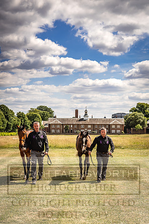 Goffs London Sale 2022-92