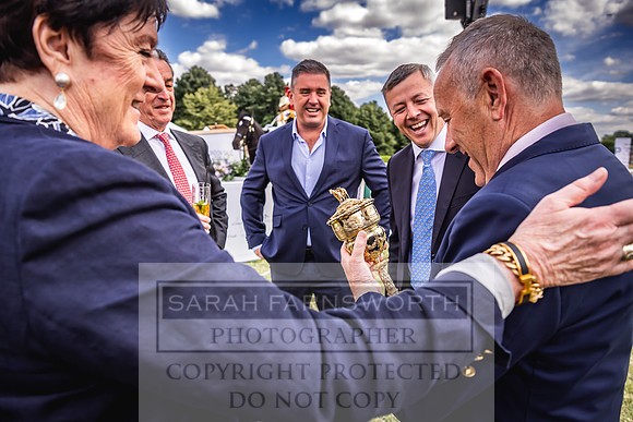 Goffs London Sale 2022-152