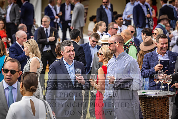 Goffs London Sale 2022-311