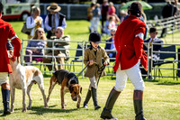 Builth Hound Show 2019-4