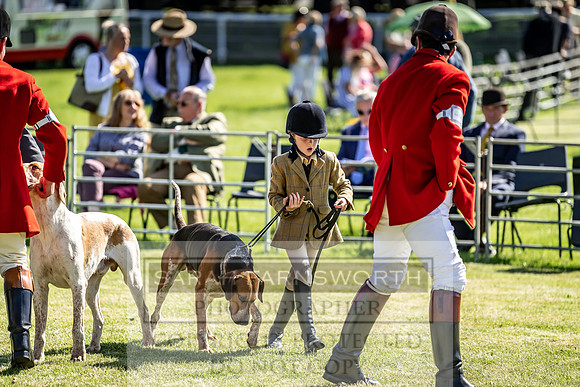 Builth Hound Show 2019-4