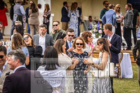 Goffs London Sale 2022-300