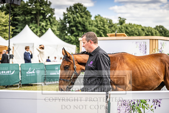 Goffs London Sale 2022-200
