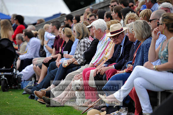 Cirencester Polo CF3 952