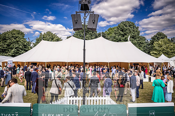 Goffs London Sale 2022-431