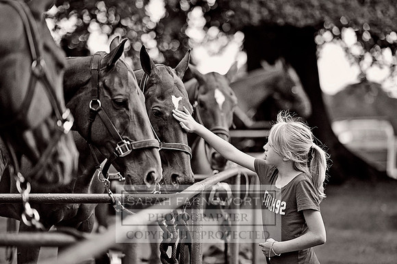 Cirencester Polo CF3 061 bw