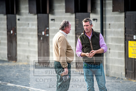 Goffs Orby 2017-256