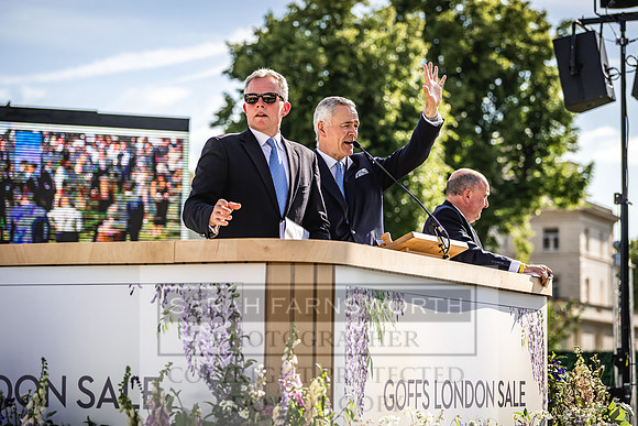 Goffs London Sale 2022-481