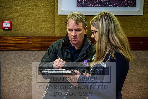 Goffs Orby 2017-623