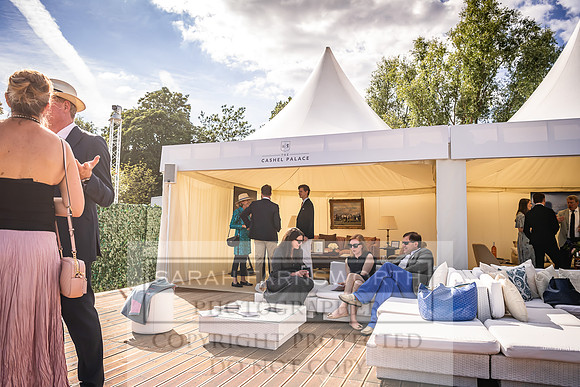 Goffs London Sale 2022-437