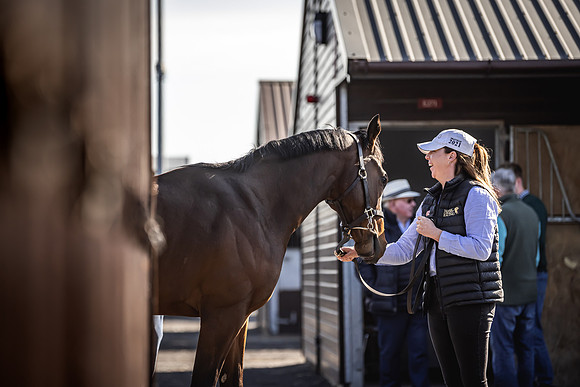 Goffs UK Breeze Up 2022-61