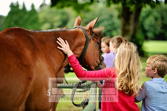 Cirencester Polo CF3 098