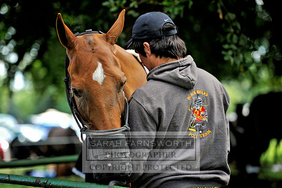 Cirencester Polo CF2 224