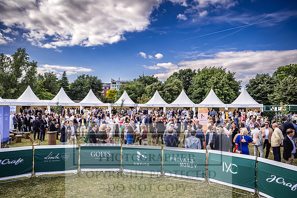 Goffs London Sale 2022-409