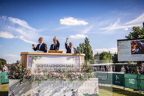 Goffs London Sale 2022-476