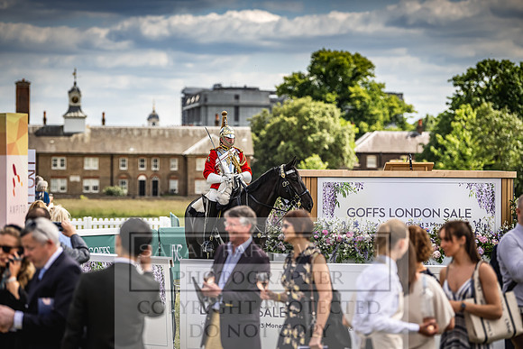 Goffs London Sale 2022-181