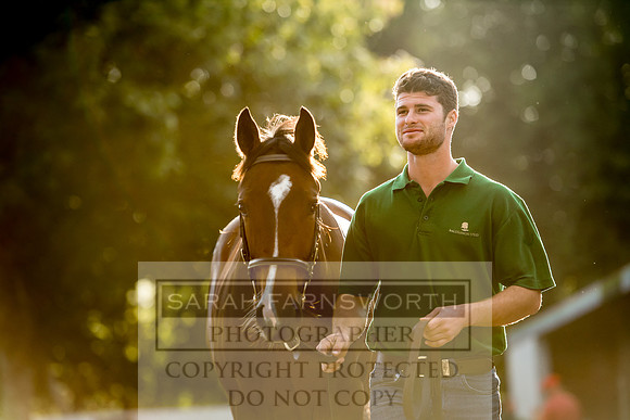 Goffs Orby 2017-356