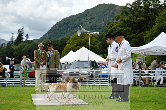 Rydal 2014 CF2 923