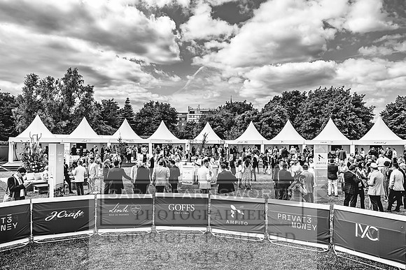 Goffs London Sale 2022-287