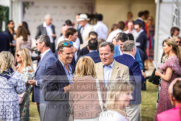Goffs London Sale 2022-430