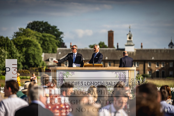 Goffs London Sale 2022-553