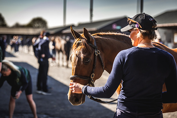 Goffs UK Breeze Up 2022-129