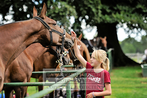 Cirencester Polo CF3 069