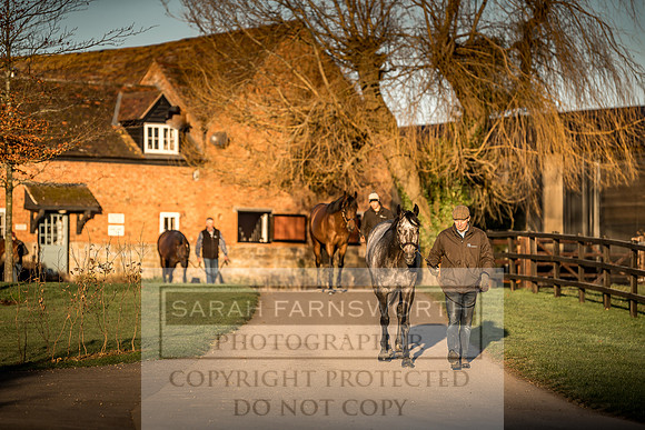 Tweenhills January 2019-101
