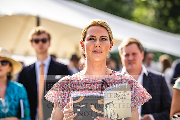 Goffs London Sale 2022-456