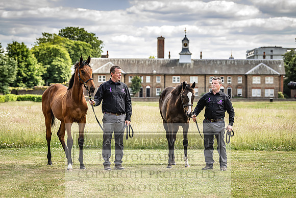 Goffs London Sale 2022-98