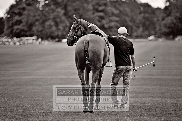 Cirencester Polo CF3 718 bw