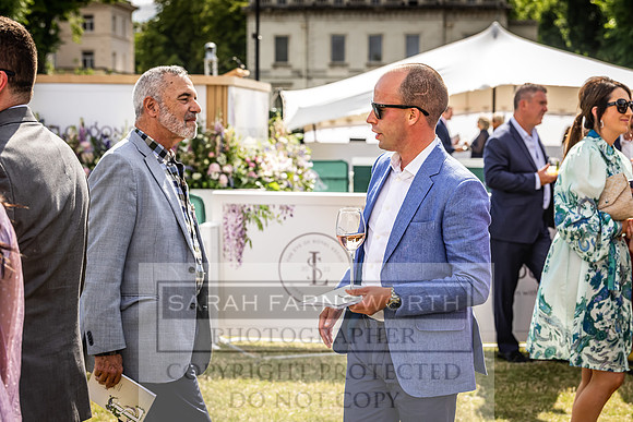 Goffs London Sale 2022-355