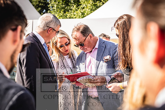 Goffs London Sale 2022-537