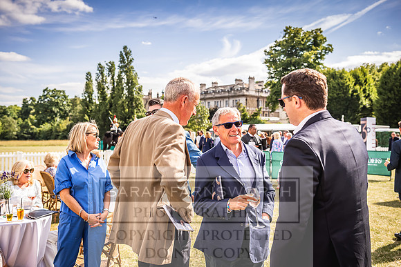 Goffs London Sale 2022-363
