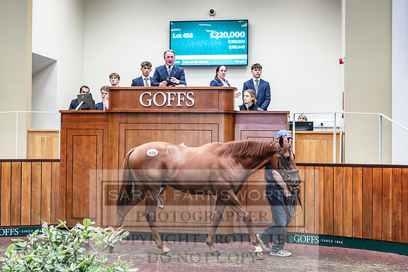 Goffs UK PY24-587